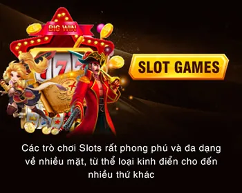 Hoàn trả thể thao Jeetwin